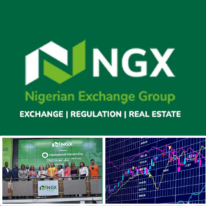As of December 6, 2024, the Nigerian Exchange Group has achieved a 31.34% Year-to-Date growth.